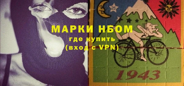 прущий лед Вяземский