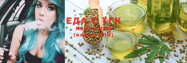 прущий лед Вяземский
