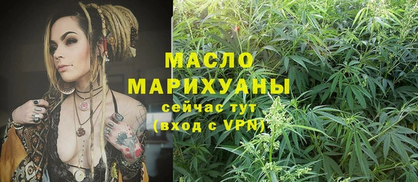 прущий лед Вяземский