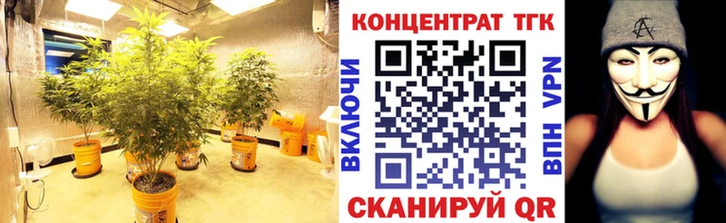 Дистиллят ТГК вейп с тгк Зима