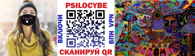 Псилоцибиновые грибы Psilocybe  Купить закладки  Зима 
